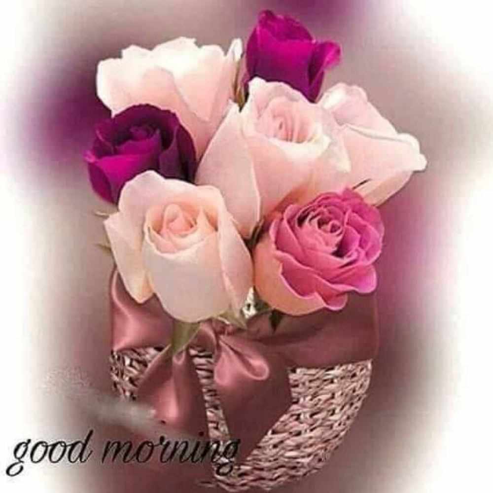 Meet your Posher, Ale